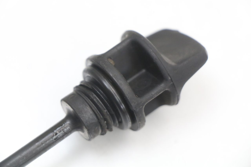 photo de ÖL MOTOR GEBER LONGJIA EASY MAX 125 (2020 - 2024) - Alternative Perspektive