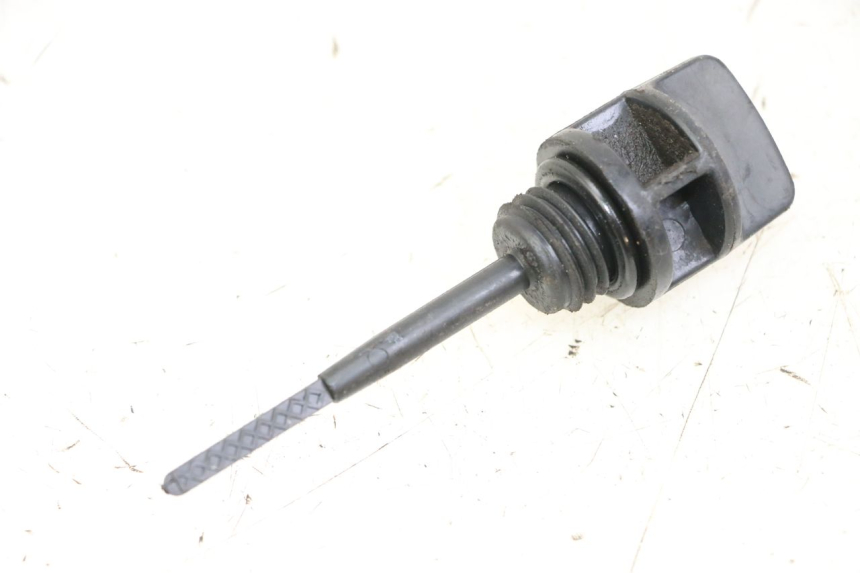 photo de ÖLMESSEINRICHTUNG JM MOTORS EVOLIS 4T 50 (2018 - 2022) - Hauptansicht