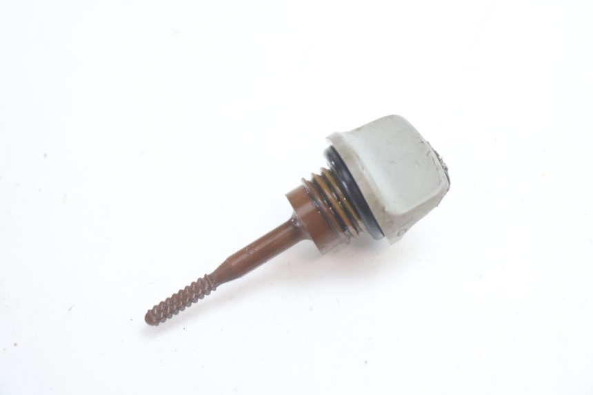 photo de ÖL MOTOR GEBER HONDA FES S-WING SWING ABS 125 (2007 - 2015) - Detailansicht des Bauteils
