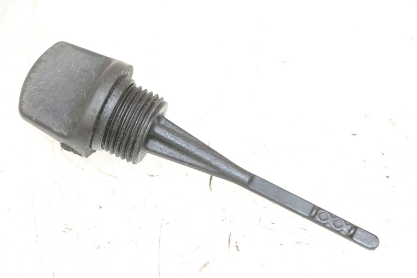 photo de ÖL MOTOR GEBER GILERA NEXUS 300 (2008 - 2013) - Hauptansicht