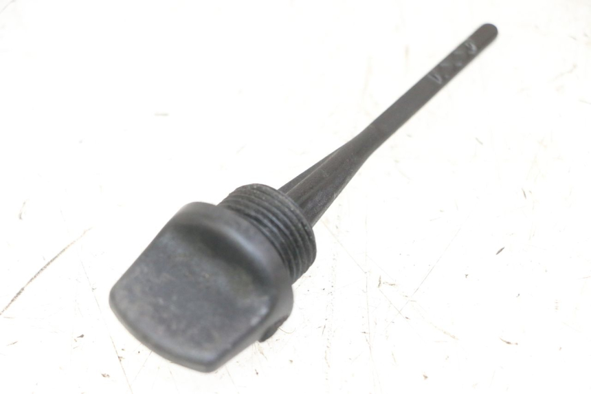 photo de ÖL MOTOR GEBER GILERA NEXUS 300 (2008 - 2013) - Detailansicht des Bauteils