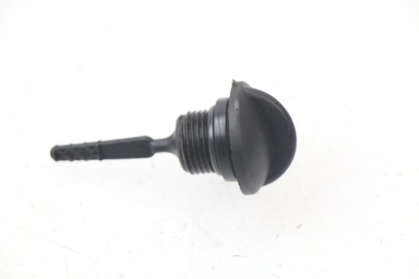 photo de ÖL MOTOR GEBER PIAGGIO LIBERTY 4T 50 (2018 - 2021) - Alternative Perspektive