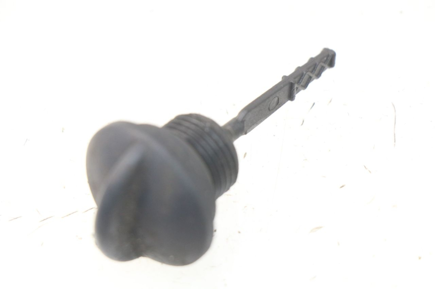 photo de ÖL MOTOR GEBER PIAGGIO LIBERTY IGET 4T 50 (2015 - 2020) - Hauptansicht