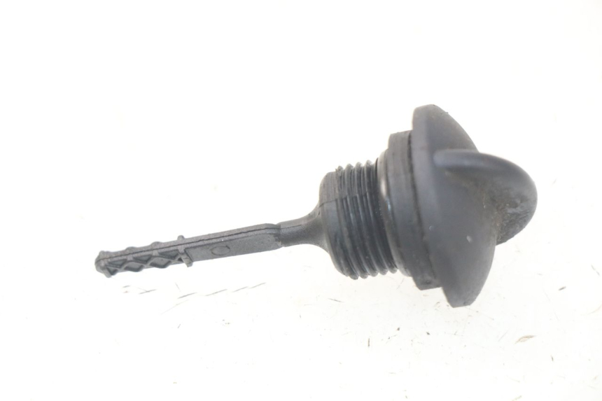 photo de ÖL MOTOR GEBER PIAGGIO LIBERTY IGET 4T 50 (2015 - 2020) - Detailansicht des Bauteils