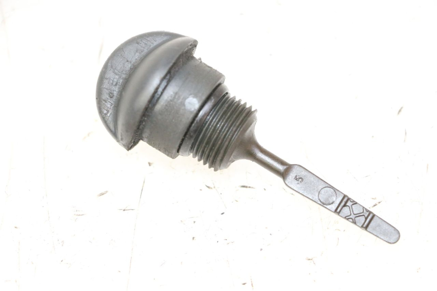 photo de ÖLMESSESTAB MOTOR PIAGGIO MP3 RL 250 (2006 - 2010) - Hauptansicht