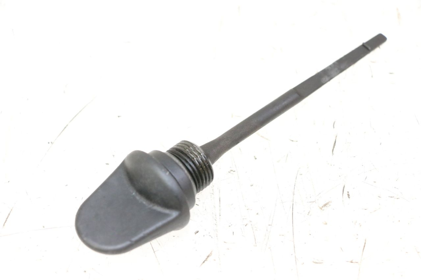 photo de ÖL MOTOR GEBER PIAGGIO MP3 LT 400 (2007 - 2012) - Hauptansicht