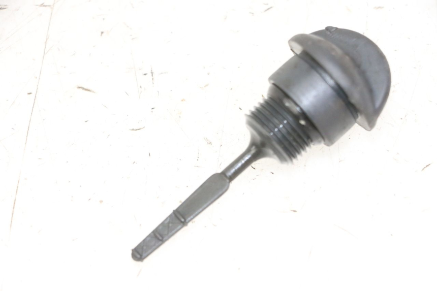 photo de ÖL MOTOR GEBER PIAGGIO VESPA GRANTURISMO 200 (2004 - 2005) - Hauptansicht