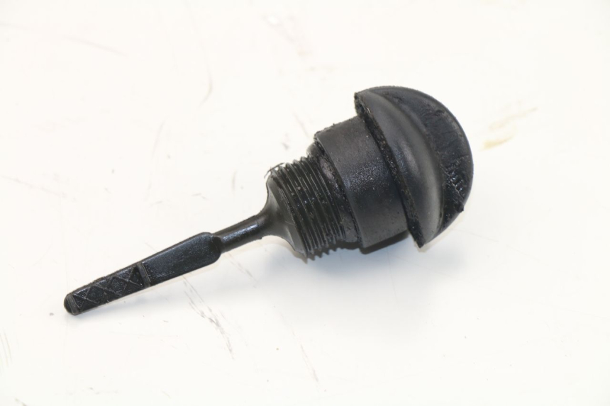 photo de ÖL MOTOR GEBER PIAGGIO X7 125 (2007 - 2013) - Hauptansicht