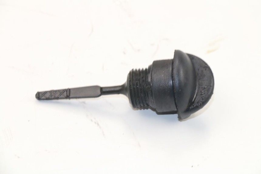 photo de ÖL MOTOR GEBER PIAGGIO X7 125 (2007 - 2013) - Detailansicht des Bauteils