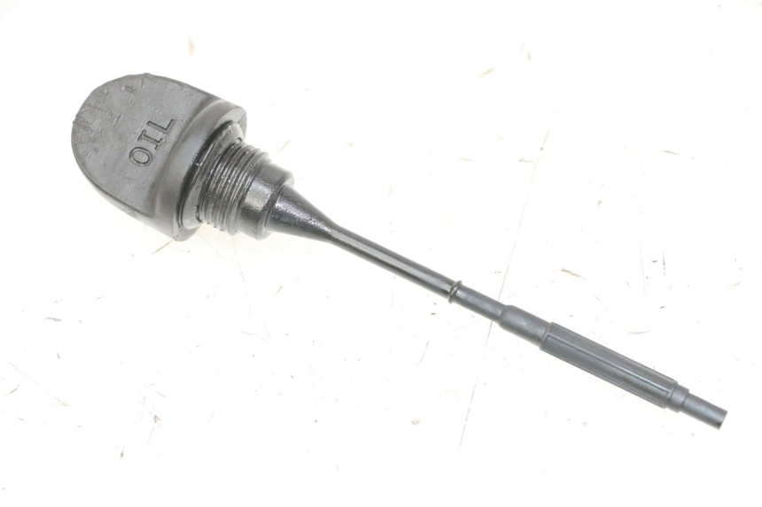 photo de ÖL MOTOR GEBER PEUGEOT SATELIS 125 (2013 - 2018) - Hauptansicht