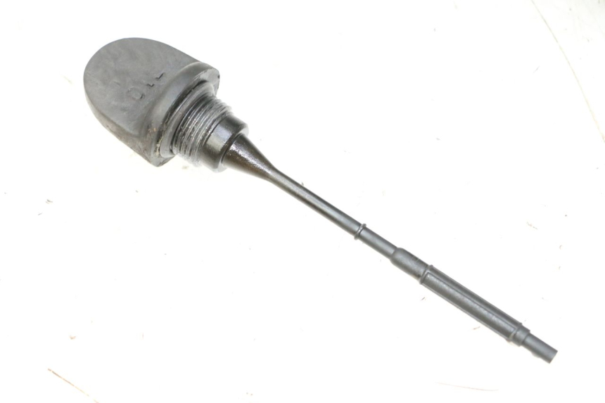 photo de ÖL MOTOR GEBER PEUGEOT SATELIS 125 (2013 - 2018) - Hauptansicht