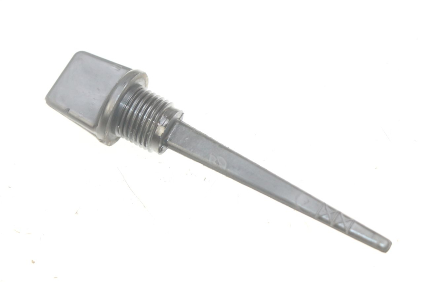 photo de ÖLMESSEINRICHTUNG MOTOR APRILIA SCARABEO LIGHT 125 (2007 - 2011) - Hauptansicht