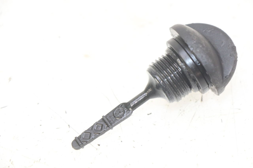 photo de ÖLMESSEINRICHTUNG APRILIA SCARABEO 100 (2003 - 2012) - Hauptansicht