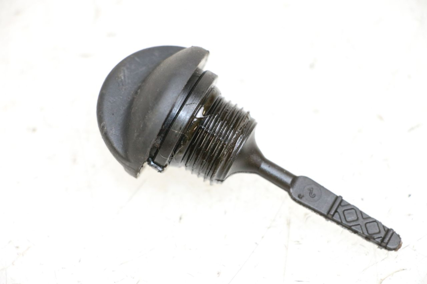 photo de ÖLMESSEINRICHTUNG APRILIA SCARABEO 100 (2003 - 2012) - Hauptansicht