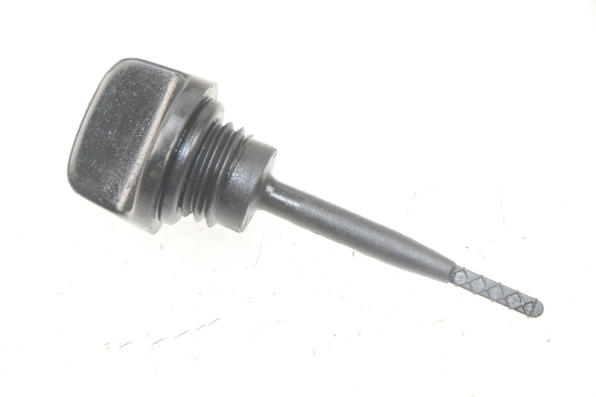 photo de ÖL MOTOR GEBER HONDA SCV LEAD 100 (2003 - 2007) - Hauptansicht