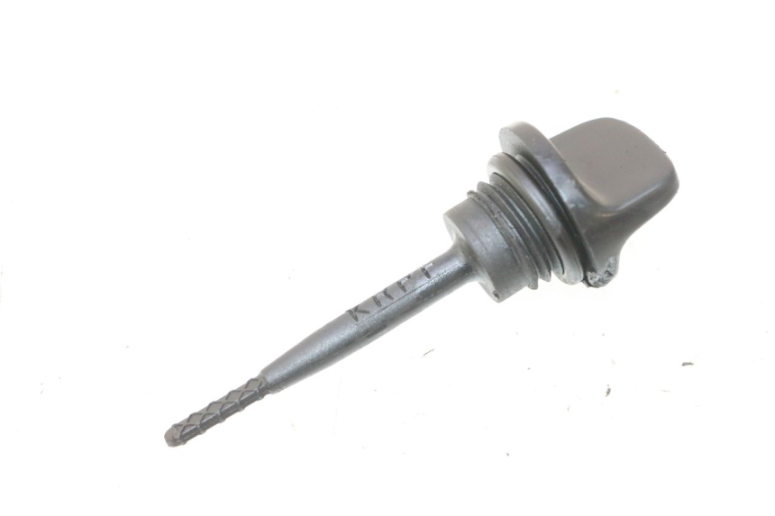 photo de ÖL MOTOR GEBER HONDA SCV LEAD 100 (2003 - 2007) - Hauptansicht