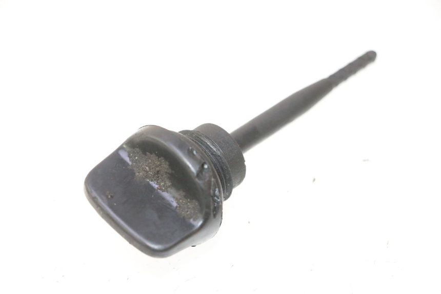 photo de ÖL MOTOR GEBER HONDA SCV LEAD 100 (2003 - 2007) - Alternative Perspektive