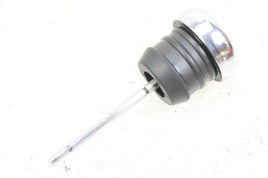 photo de ÖL MOTOR GEBER HARLEY DAVIDSON SPORTSTER XL CUSTOM 1200 (2003 - 2004) - Hauptansicht