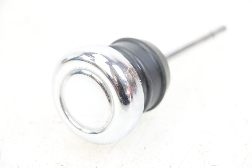 photo de ÖL MOTOR GEBER HARLEY DAVIDSON SPORTSTER XL CUSTOM 1200 (2003 - 2004) - Zoom auf Gebrauchszustand