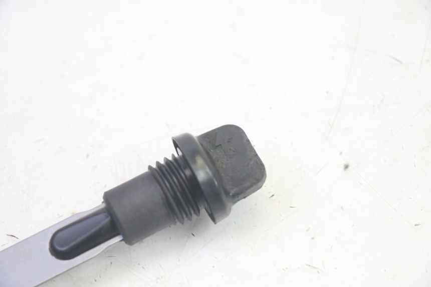 photo de ÖL MOTOR GEBER YAMAHA TDM ABS 900 (2002 - 2014) - Alternative Perspektive