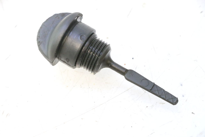 photo de ÖLMESSEINRICHTUNG MOTOR PIAGGIO X9 EVOLUTION 125 (2003 - 2007) - Hauptansicht