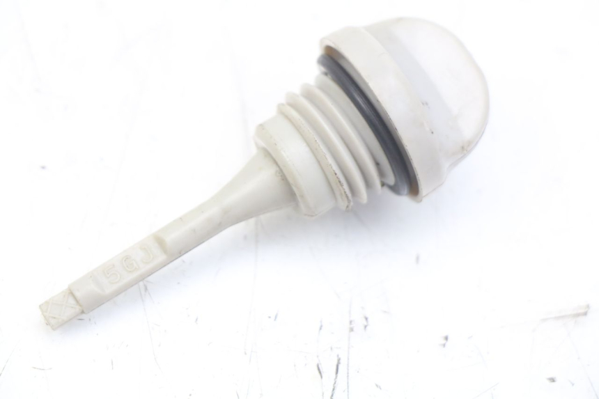 photo de ÖL MOTOR GEBER YAMAHA XP T-MAX TMAX 500 (2004 - 2007) - Hauptansicht