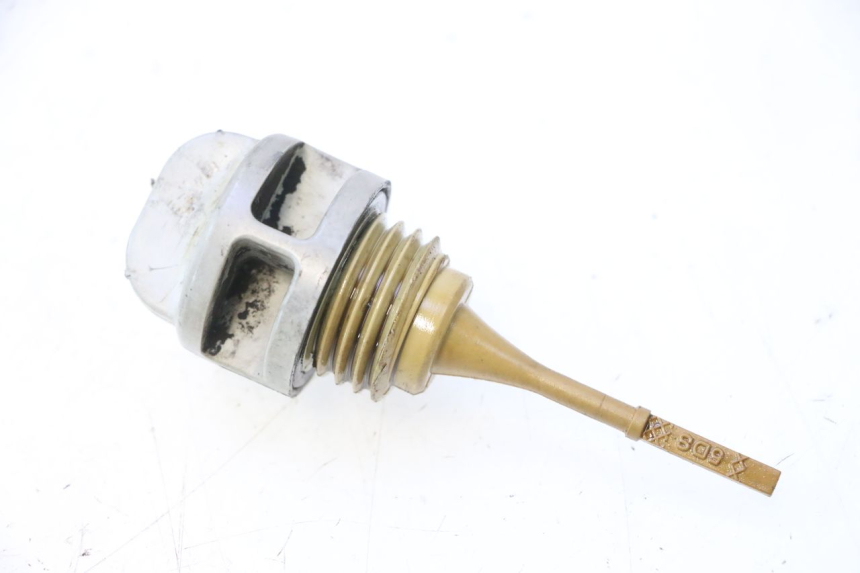 photo de ÖL MOTOR GEBER YAMAHA YP MAJESTY 125 (1998 - 2001) - Hauptansicht