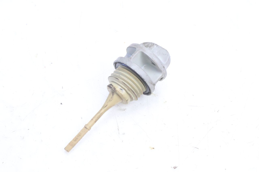 photo de ÖL MOTOR GEBER YAMAHA YP MAJESTY 125 (2007 - 2010) - Hauptansicht