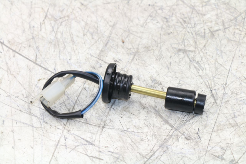 photo de ÖLSTANDSANZEIGE TNT MOTOR ROMA 10' 2T 50 (2011 - 2018) - Hauptansicht