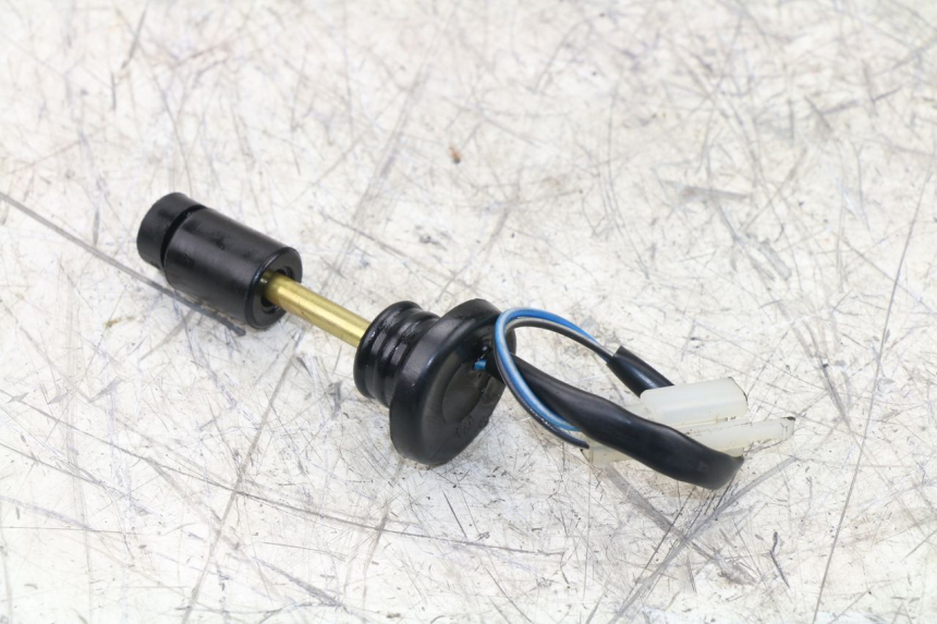 photo de ÖLSTANDSANZEIGE TNT MOTOR ROMA 10' 2T 50 (2011 - 2018) - Zoom auf Gebrauchszustand