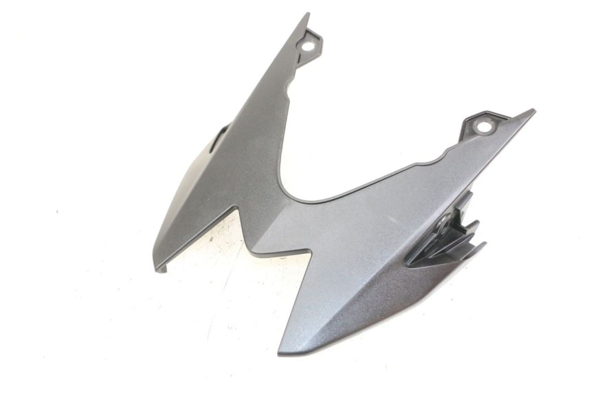 photo de VERKLEIDUNG HINTEN MITTE BMW S RR ABS S1000RR 1000 (2015 - 2018) - Hauptansicht