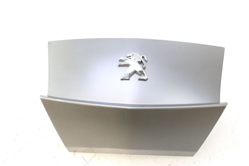 photo de VERKLEIDUNG HINTEN MITTE PEUGEOT CITYSTAR 2T 50 (2018 - 2021) - Hauptansicht