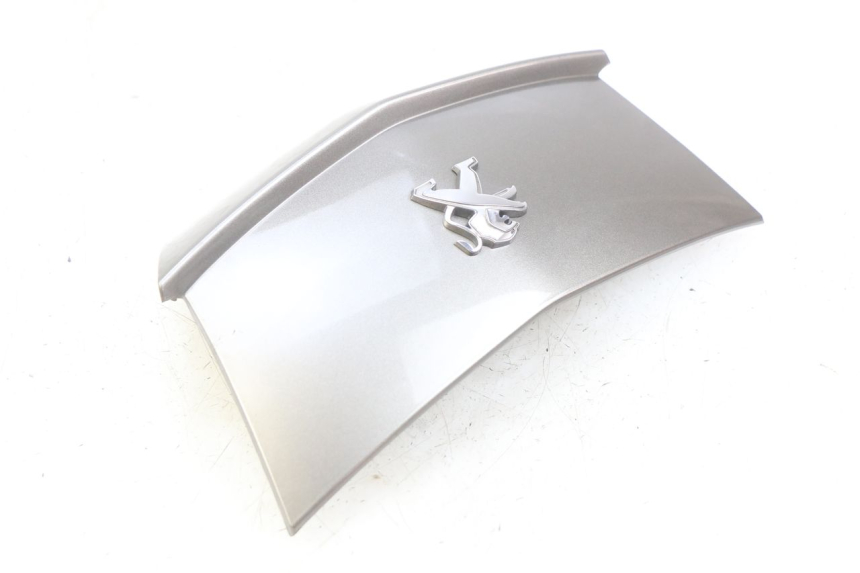 photo de HECKVERKLEIDUNG VERBINDUNG PEUGEOT CITYSTAR AIR 125 (2014 - 2017) - Alternative Perspektive