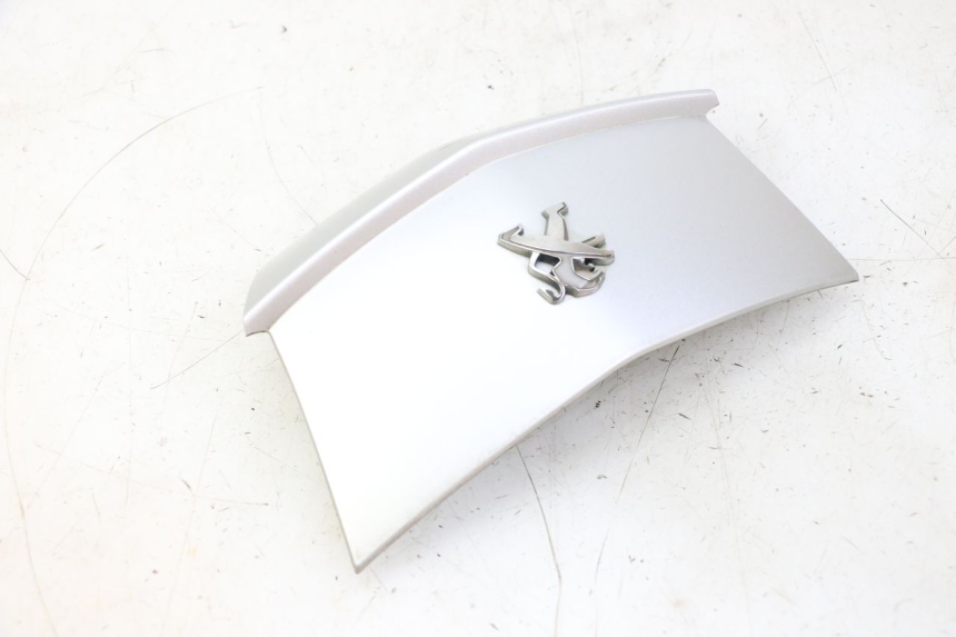 photo de HECKVERKLEIDUNG VERBINDUNG PEUGEOT CITYSTAR 50 (2013 - 2017) - Alternative Perspektive