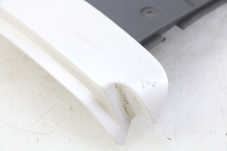 photo de HECKVERKLEIDUNG VERBINDUNG SUZUKI CP 80 (1985 - 1996) - Alternative Perspektive