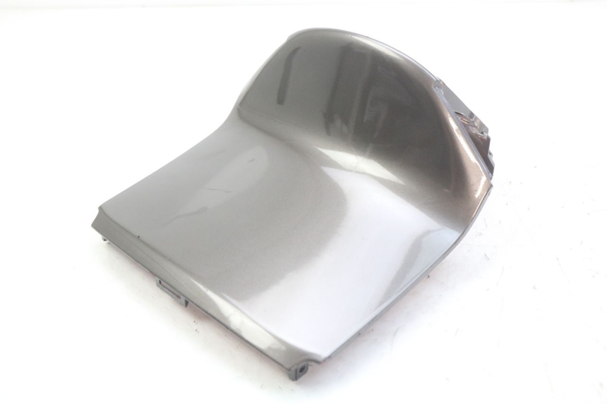 photo de HECKVERKLEIDUNG VERBINDUNG HONDA FES PANTHEON 2T 125 (1998 - 2002) - Zoom auf Gebrauchszustand