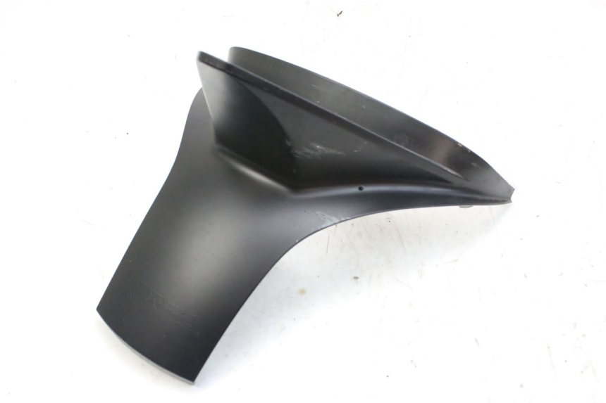 photo de HECKVERKLEIDUNG VERBINDUNG HONDA FES S-WING SWING ABS 125 (2007 - 2015) - Hauptansicht