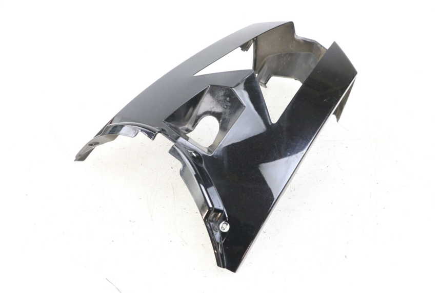 photo de VERKLEIDUNG HINTEN MITTE PEUGEOT GEOPOLIS RS 125 (2007 - 2009) - Gesamtansicht des Produkts