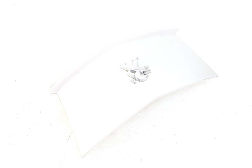 photo de HECKVERKLEIDUNG VERBINDUNG PEUGEOT CITYSTAR 125 (2011 - 2017) - Oberflächenzustand und Material