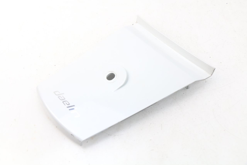 photo de HECKVERKLEIDUNG VERBINDUNG DAELIM S3 125 (2010 - 2017) - Hauptansicht