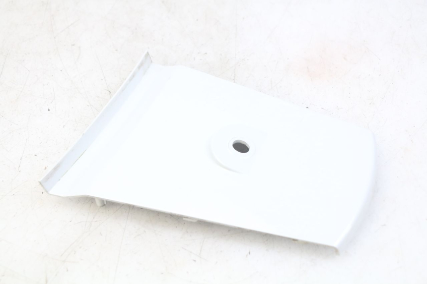 photo de HECKVERKLEIDUNG VERBINDUNG DAELIM S3 125 (2010 - 2017) - Zoom auf Gebrauchszustand