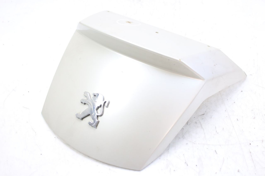 photo de HECKVERKLEIDUNG VERBINDUNG PEUGEOT SATELIS 125 (2010 - 2012) - Hauptansicht