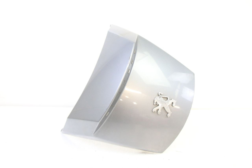 photo de VERKLEIDUNG HINTEN MITTE PEUGEOT SATELIS 250 (2006 - 2012) - Hauptansicht