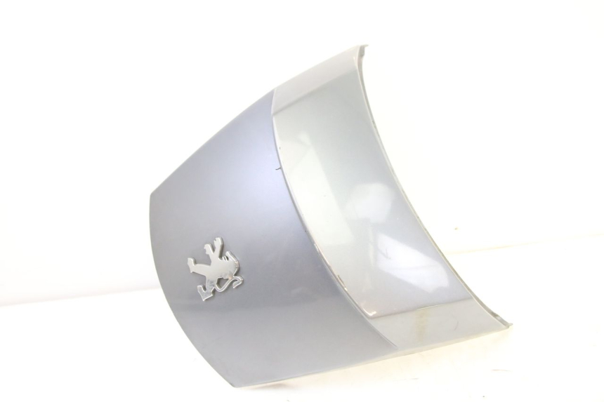 photo de VERKLEIDUNG HINTEN MITTE PEUGEOT SATELIS 250 (2006 - 2012) - Detailansicht des Bauteils