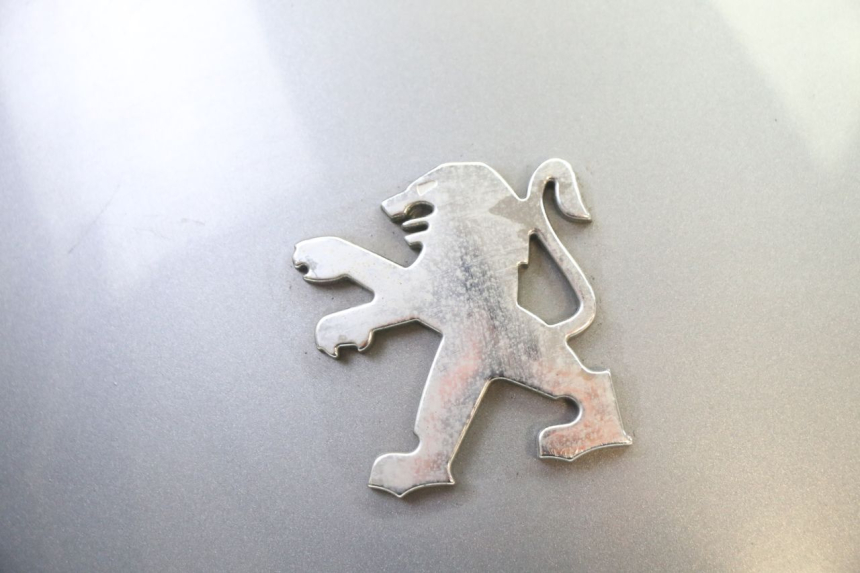 photo de VERKLEIDUNG HINTEN MITTE PEUGEOT SATELIS 250 (2006 - 2012) - Technische Nahaufnahme