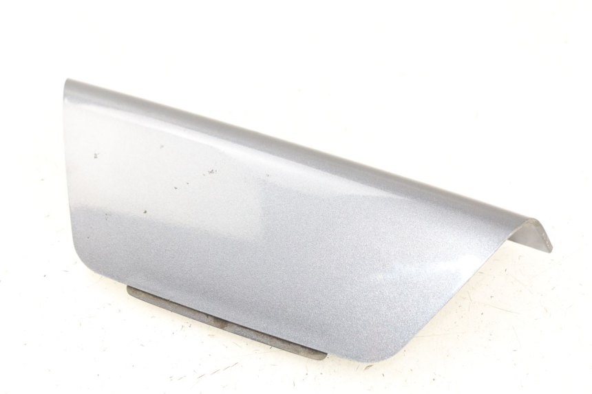 photo de VERKLEIDUNG HINTEN MITTE OBEN DAELIM S2 125 (2006 - 2007) - Hauptansicht