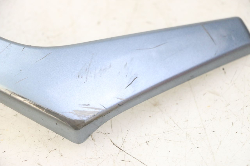 photo de FRONTVERKLEIDUNG MITTE DAELIM HISTORY 125 (2001 - 2002) - Gesamtansicht des Produkts