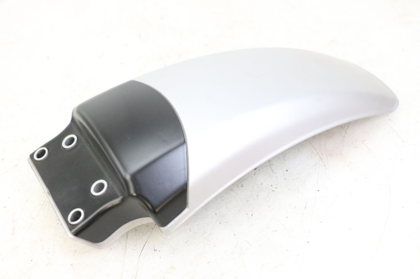 photo de VERKLEIDUNG VORNE MITTE ROYAL ENFIELD HYMALAYAN 410 (2016 - 2023) - Alternative Perspektive