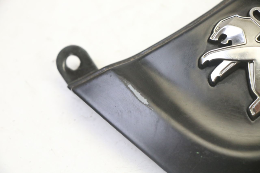 photo de VERKLEIDUNG VORNE MITTE PEUGEOT TWEET 4T 50 (2018 - 2022) - Detailansicht des Bauteils