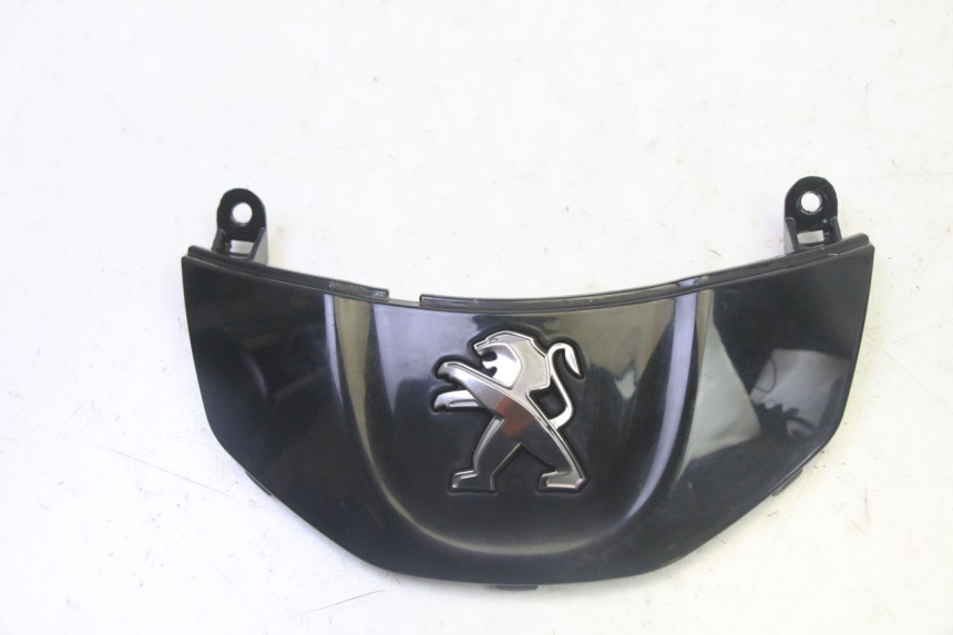 photo de VERKLEIDUNG VORNE MITTE PEUGEOT TWEET PRO CARGO 50 (2018 - 2022) - Hauptansicht